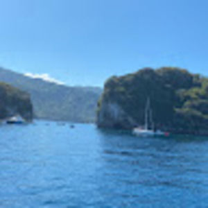 Meet your Posher, Reese